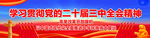 二十届三中全会展板