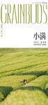 小满 节气