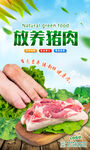 放养猪肉