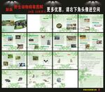 野生动物病毒图解