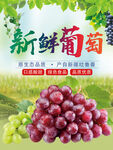 葡萄