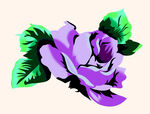 玫瑰花