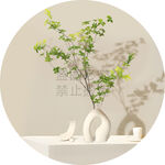 花瓶圆形装饰画