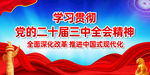 学习贯彻党的二十届三中全会精神