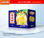 葡萄柚包装 柚子包装