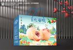 水蜜桃包装 桃子礼盒