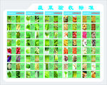 蔬菜验收标准