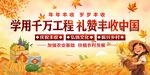 丰收节