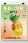 菠萝凤梨海报