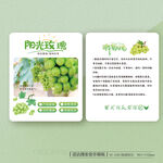阳光玫瑰葡萄食用保存方法卡片