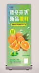 脐橙海报