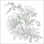 白描花卉