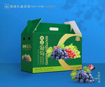 葡萄包装 巨峰礼盒