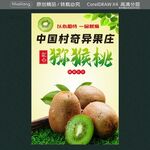 红心猕猴桃