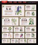 中医中药