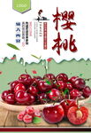 樱桃