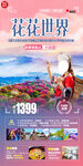 贵州赏花旅游海报
