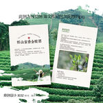 金骏眉红茶茶叶介绍卡片