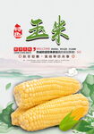 玉米