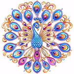 华丽孔雀 闪耀光芒