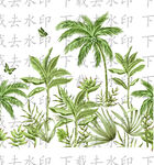 椰树