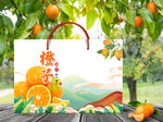 橙子包装  下载为展开图
