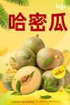 哈密瓜