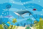 海洋世界壁画