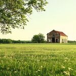 阳光草地老建筑