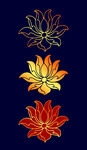 矢量烫金色宝莲花纹