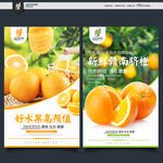 赣南脐橙
