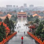 雨后神道