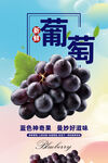葡萄
