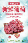 葡萄