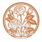 玫瑰插画