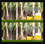 甘蔗