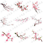 古风中国风梅花桃花插画素材