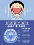 乳牙萌出顺序