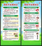 国际罕见病日展架