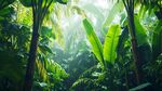 热带雨林花草树木背景