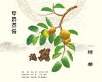 柿蒂中药柿蒂