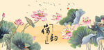 荷花