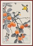 国画柿子