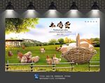 土鸡蛋