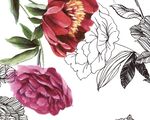 手绘花