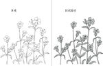 花 矢量图