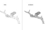 鸟与蛇 矢量图