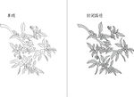 桂花 矢量图