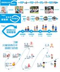眼 全生命周期