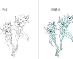 兰花 矢量图